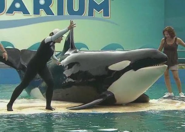 ��������ͼ��������ˮ����ݳ�������ָ������