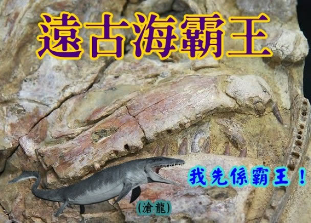 澳洲昆士兰本月初发现一条有1亿年历史、命为“cooyoo”的鱼化石(图)。