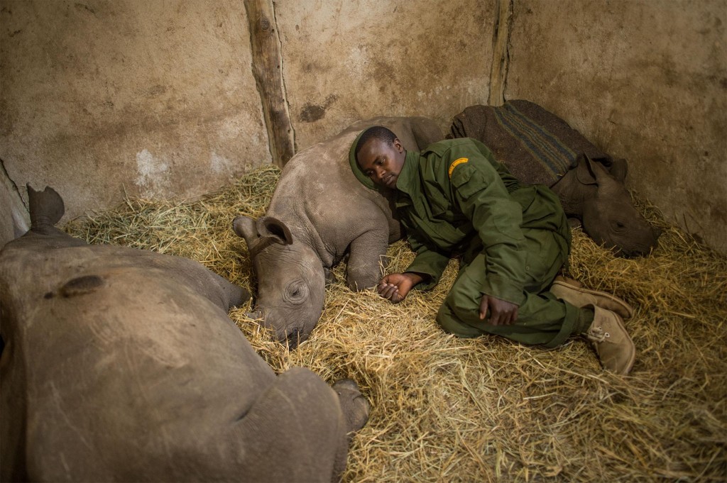 怎么使狗进入深度睡眠 1_201507231554301gkkk.jpg