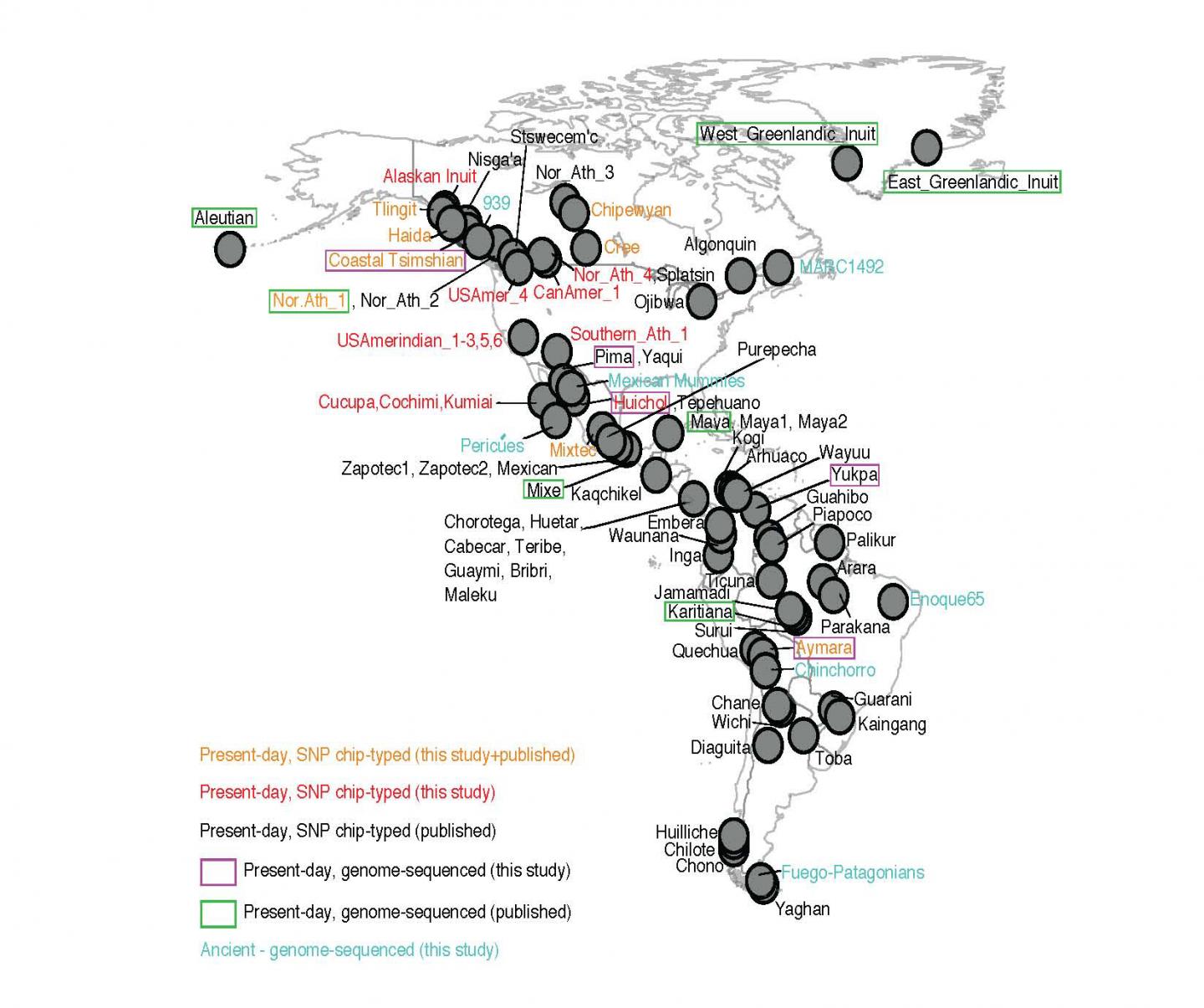基因数据提示美洲原住民的祖先是如何及在什么时候进入美洲