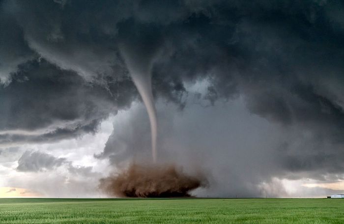 ְҵڿһСʱͳɹ׷14