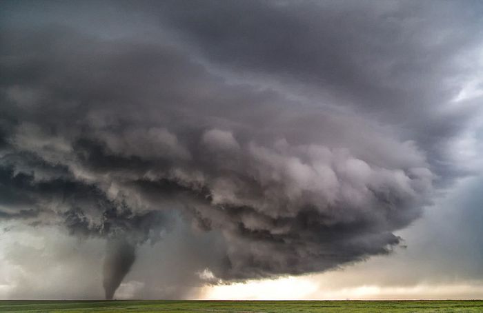 ְҵڿһСʱͳɹ׷14