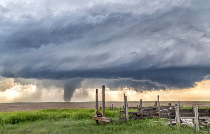 ְҵڿһСʱͳɹ׷14