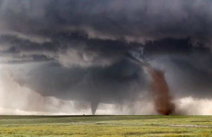 ְҵڿһСʱͳɹ׷14