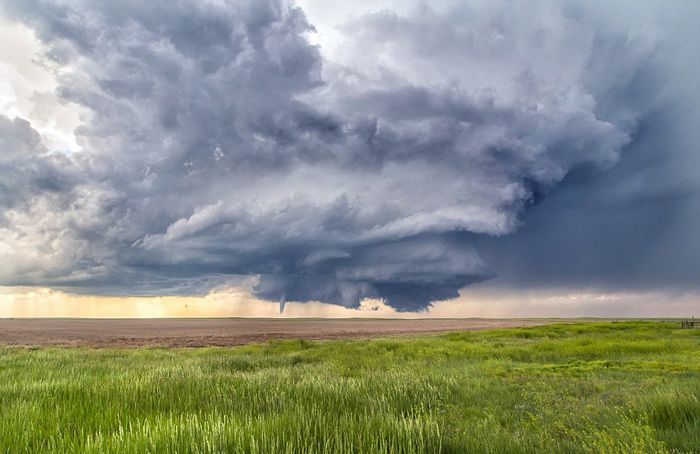 ְҵڿһСʱͳɹ׷14