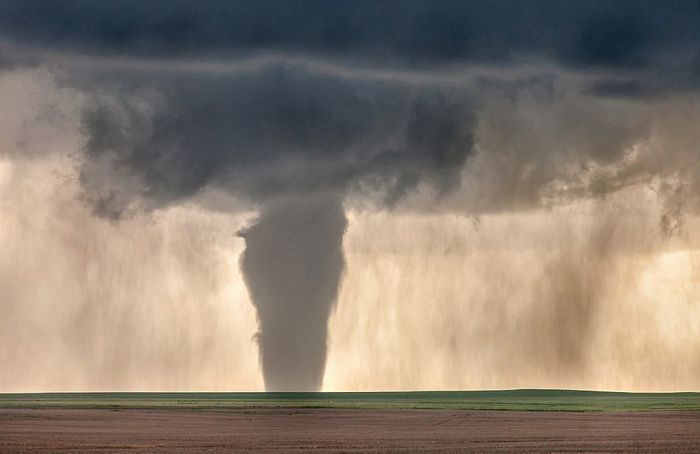 ְҵڿһСʱͳɹ׷14