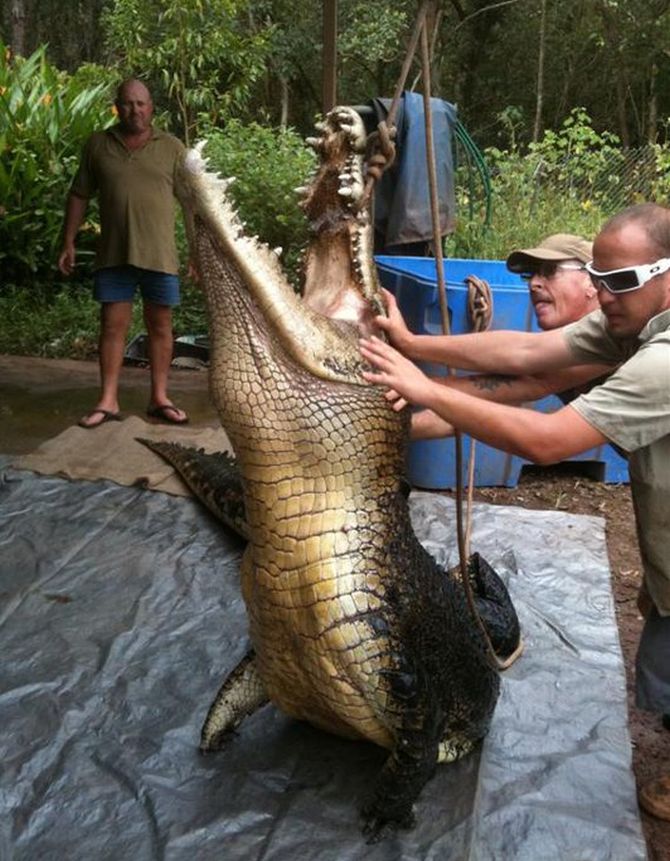 ���ޡ������׿�