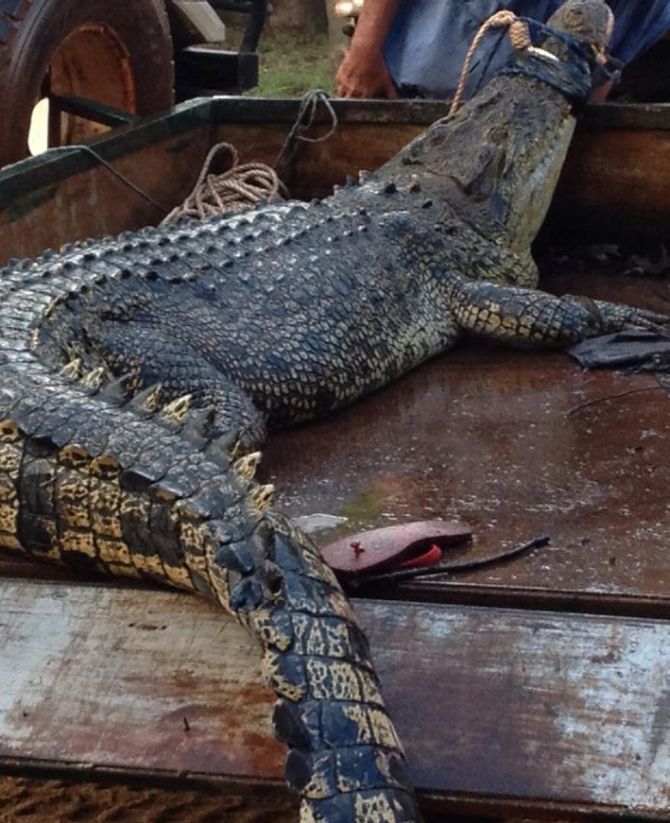 ���ޡ������׿�