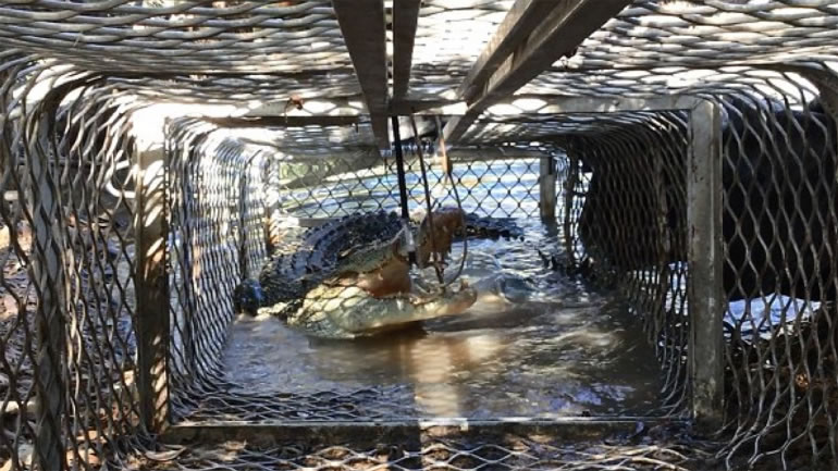 ���ޡ������׿�