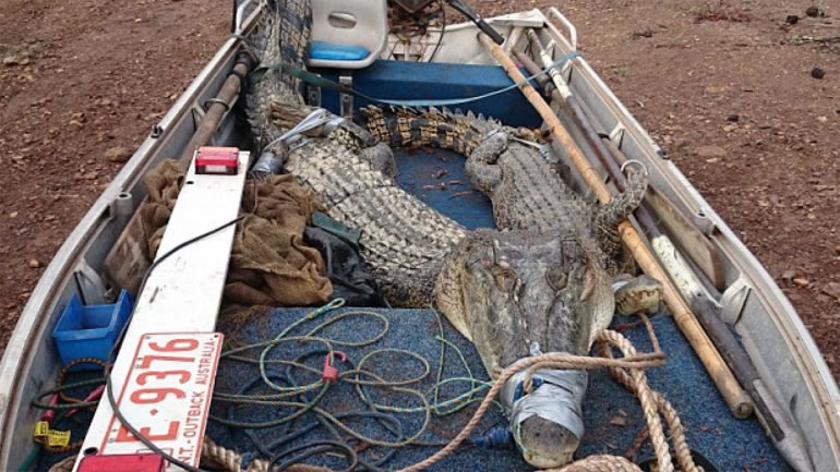 ���ޡ������׿�