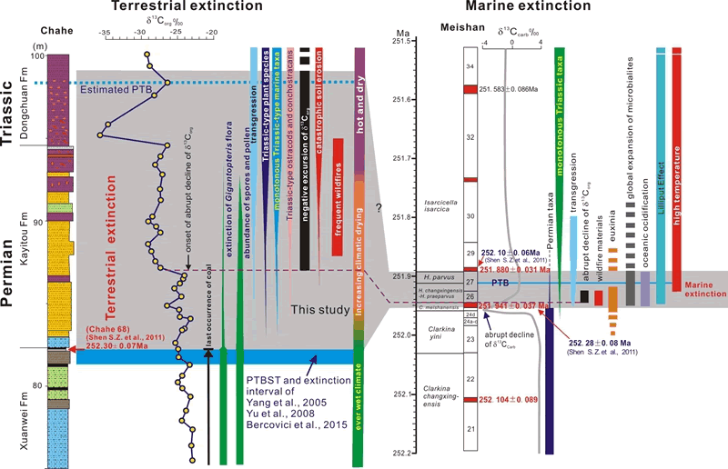二叠纪-三叠纪海相、陆相生物大灭绝综合对比