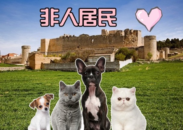 西班牙小镇全民公投承认猫狗是非人类居民 有