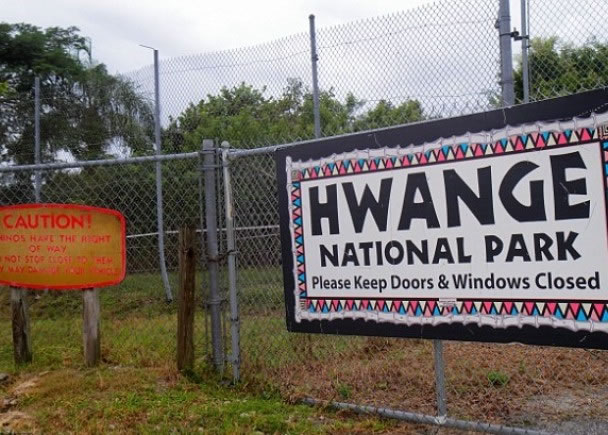 塞西尔与其后代居于万基国家公园(图)。