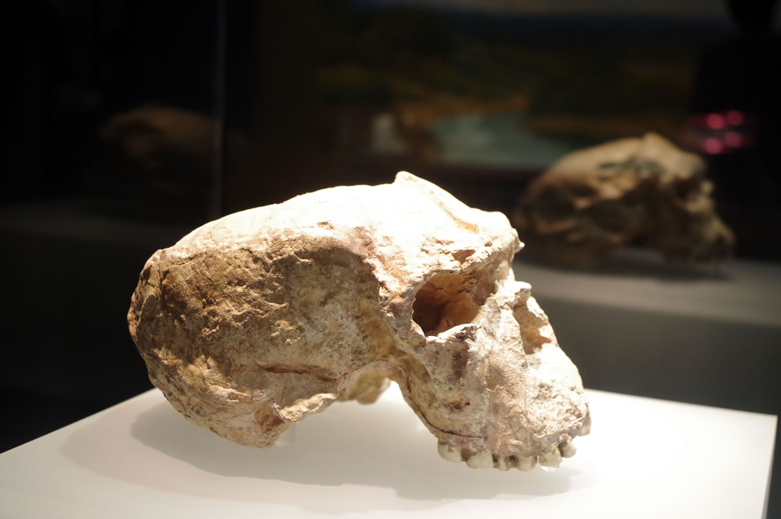 ������ͷ�ǻ�ʯ