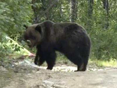 新闻分析:北斗卫星导航距离国人有多远? - 神秘