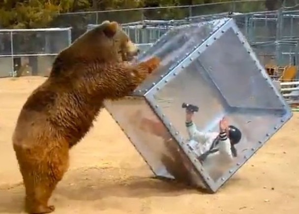 箱中人被达科塔(左)推得左摇右晃,神情惊恐。