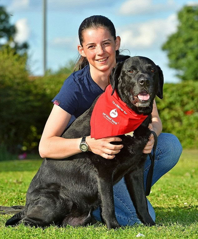 ����������ܰ�ȮӰ�죬����ǰ��ʼ��Ѫ���ˡ�