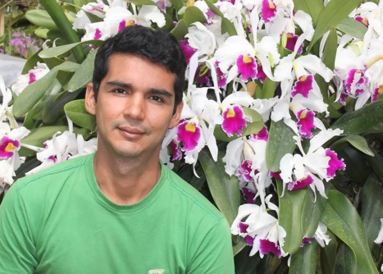 �ĵ�drosera magnifica������fb����˹����·˹��ҵ��ֲ��ѧ�ҡ�