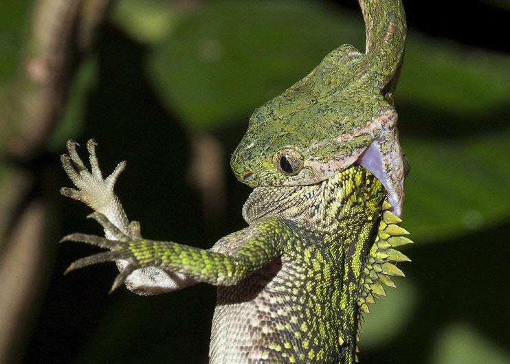 ӡ�������Ŵ������ҹ�԰��˯���治�������װ�������ʳ