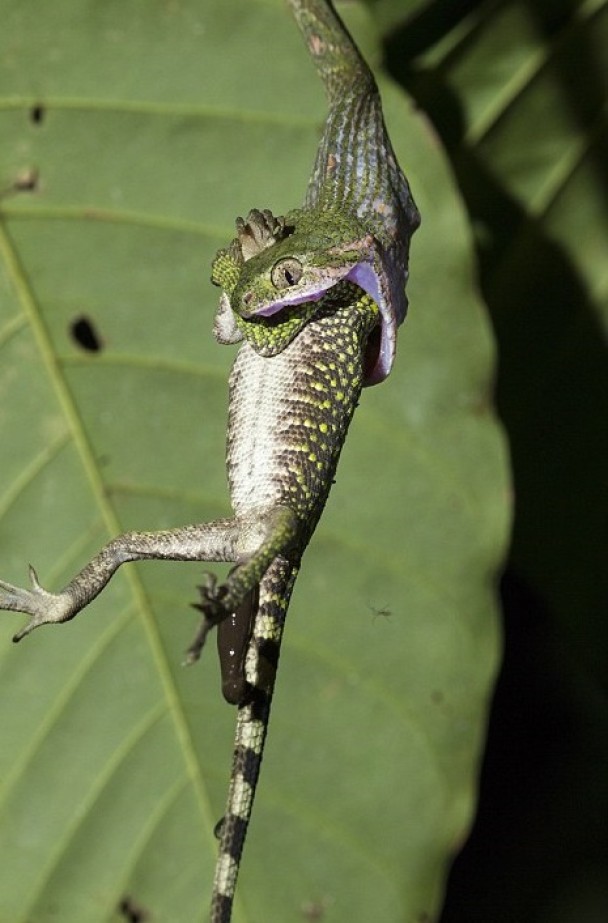 ӡ�������Ŵ������ҹ�԰��˯���治�������װ�������ʳ