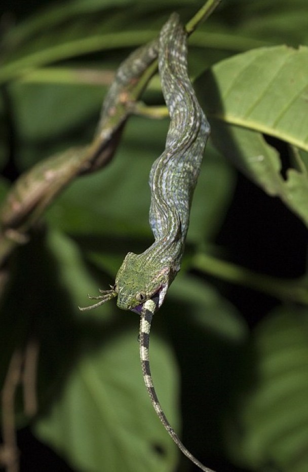 ӡ�������Ŵ������ҹ�԰��˯���治�������װ�������ʳ