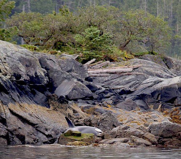 ôѧҺ־Ը߾һͷڲе߸ױʡʯϸǳɱ˾