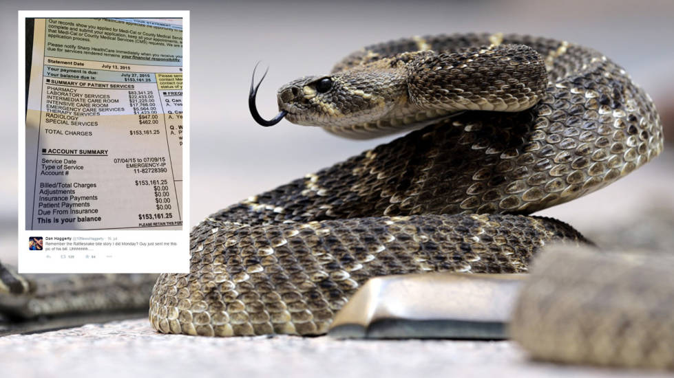 ��������ץ��β�����ı�ҧ