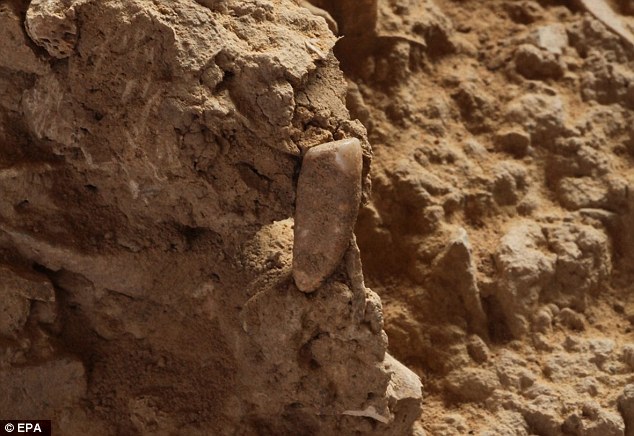 �������ϲ���������56����ǰ�������ݻ�ʯ