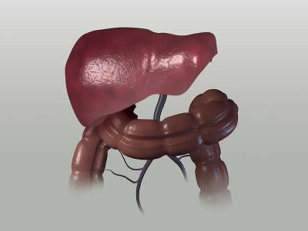 ͨ��NF-��B�����źŴ���ͨ·����֢��֪����ʹ��ϸ���Ըΰ�����ΰ����ķ�չ���о���Ա������һ��������·�����漰һ�ֿɳ�������NF-��B�źŴ�����΢RNA����ת��