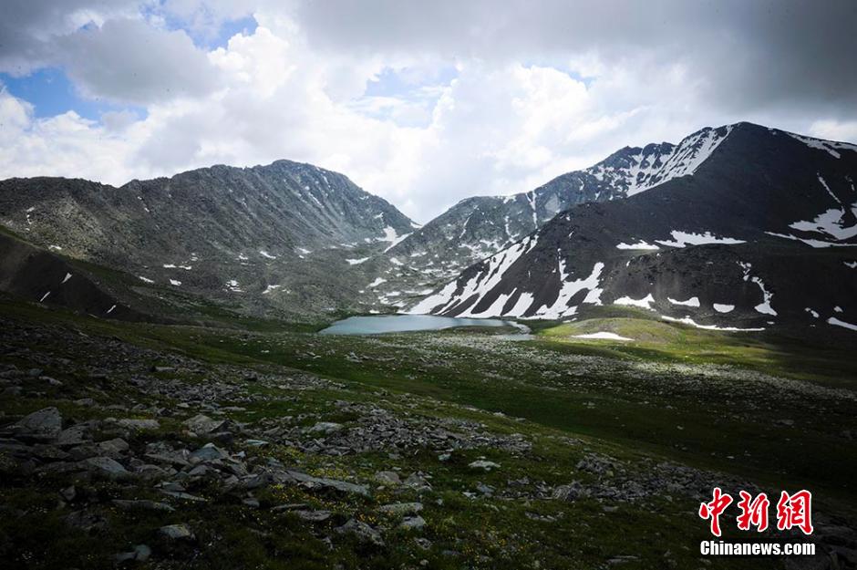 7月28日,新疆喀纳斯景区管委会在乌鲁木齐召开新闻发布会,对外公布在距离喀纳斯湖出水口约18公里西南方向发现古地中海海底遗迹。图为古地中海海底遗迹。雷东翔 摄