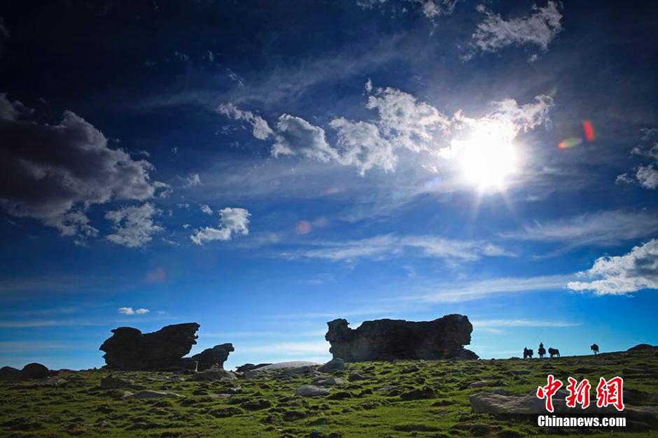 7月28日,新疆喀纳斯景区管委会在乌鲁木齐召开新闻发布会,对外公布在距离喀纳斯湖出水口约18公里西南方向发现古地中海海底遗迹。图为古地中海海底遗迹。雷东翔 摄