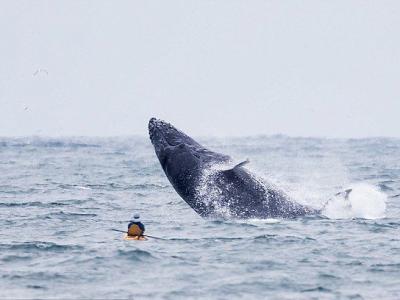 最新研究报告预计到2050年全球癌症死亡率将