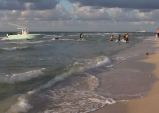 ͵�ɿ���̲��Ѹ��ʧȥ��Ӱ��