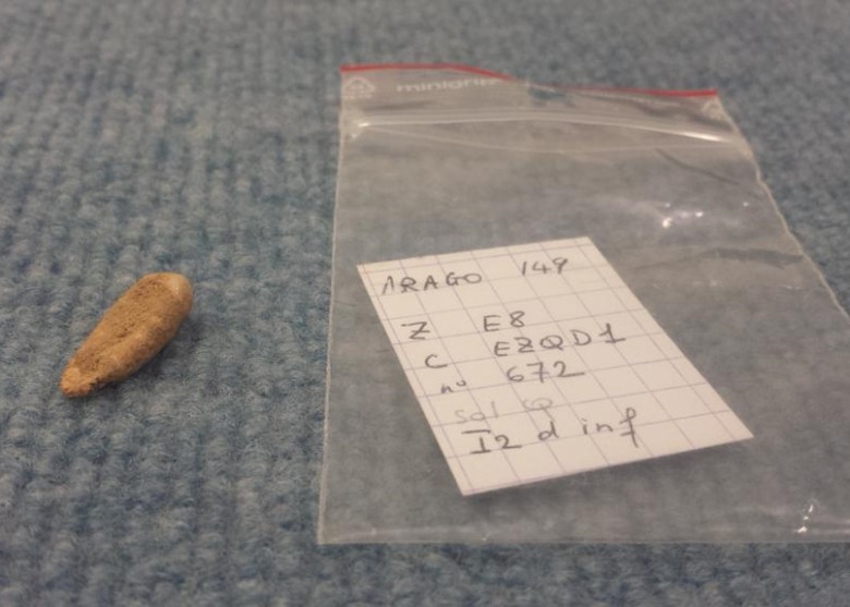 ��ʱδ֪�������������Ի�Ů��