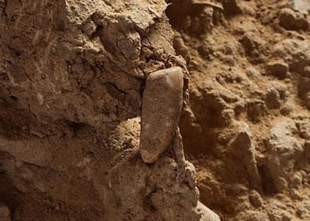 ��ö����������ά��ַ������