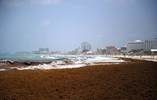 ī���翲���к������巺����в�������