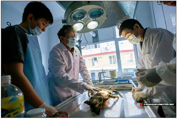 1.24����ľ������������� θ�﷢����֦