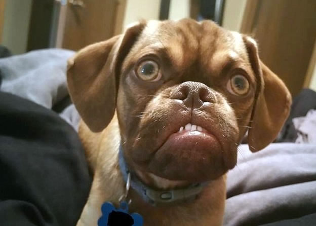 ����Ц�ԡ�����������ӣ�����Ҫ������˰һ����