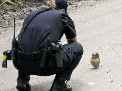 日本诡异稻草人村 - 神秘的地球 科学|自然|地理