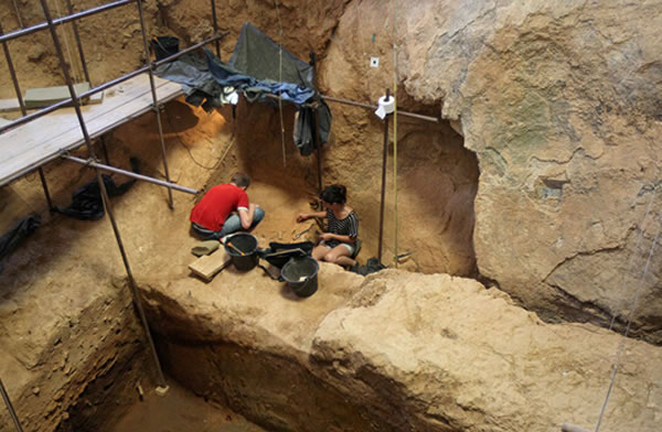 ����ѧ��������ά����ׯ�����İ�����ɽ���п�չ���Ź���