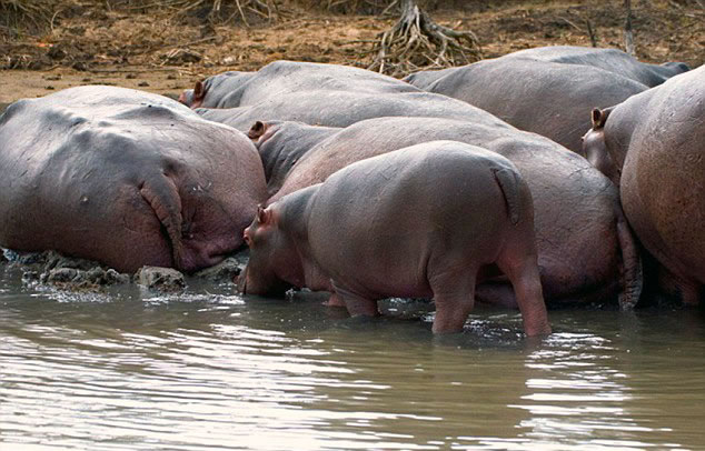 �Ϸ������С�������������������Ⱥ�����̿�����