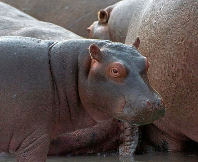 �Ϸ������С�������������������Ⱥ�����̿�����