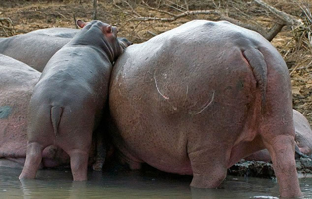 �Ϸ������С�������������������Ⱥ�����̿�����