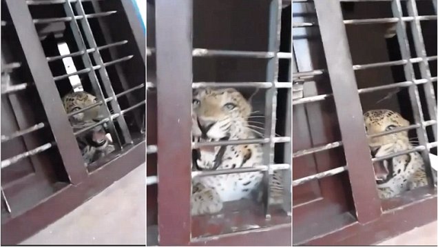 ӡ�ȿ������˰�Ұ������ͻȻ����ѧУ