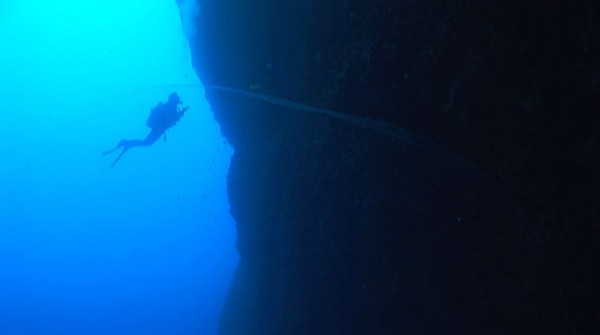 土耳其海域深海发现神秘“巨无霸泡泡” 疑似鱿鱼的巨卵