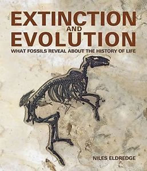 ݻʯйʷʲôExtinction and Evolution: What Fossils Reveal About the