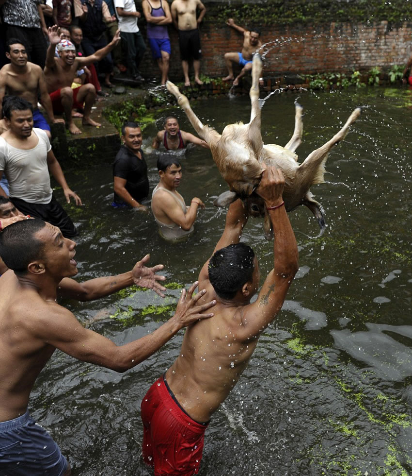 ����Ȩ����ʿǴ���Ჴ�����е��¿������ף�����Ϊ����ʽ�ĸ߳����֣�һֻСĸɽ�򽫱�����˺���׼���