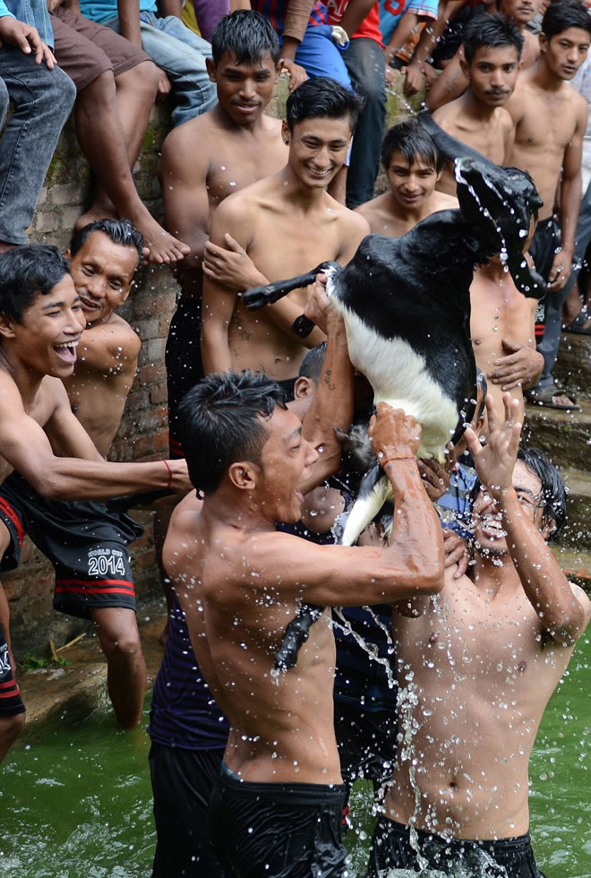 ȫ����Ķ���Ȩ�汣����ʿ��Ǵ��������Ϊ�������Ჴ��������ֹ��ϳ����ִ�ͳ��