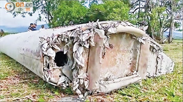 残骸表面附有大量贝壳。