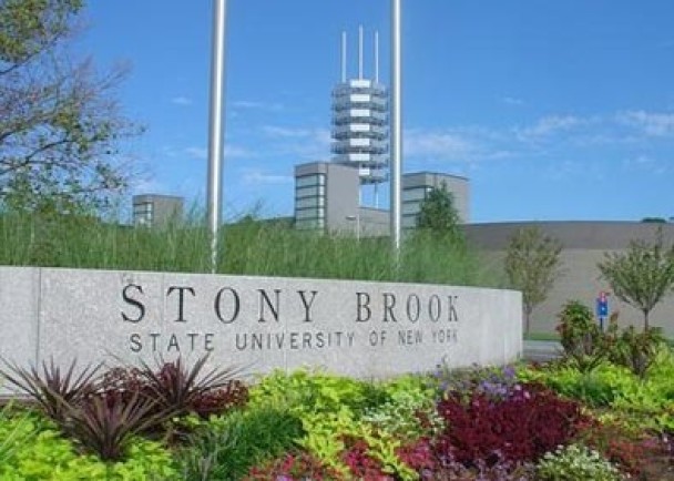 ��������Ȩ���ƻ�����ΪŦԼ����ʯϪ��ѧ��ͼ��3ֻ��ʵ�������ĺ�������ȡ����Ȩ���ġ�